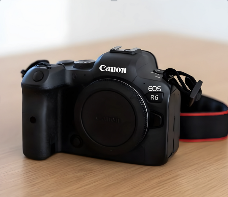All About Canon EOS R6 Shutter Count: A Simple Guide This 2024