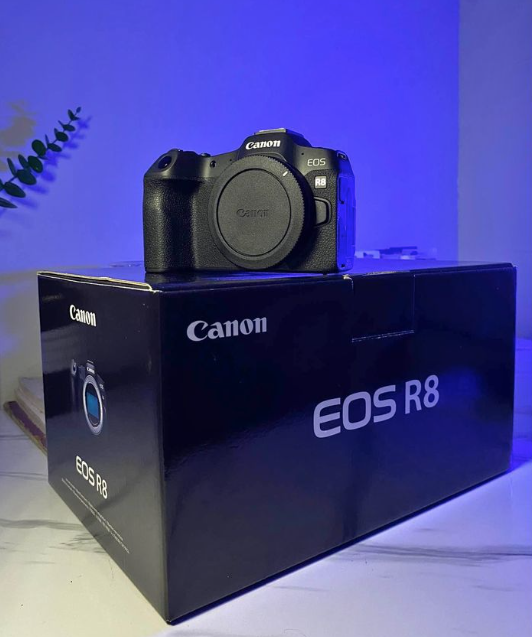 CANON-EOS-R8-Mirrorless-Camera